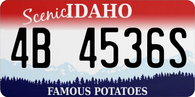 ID license plate 4B4536S