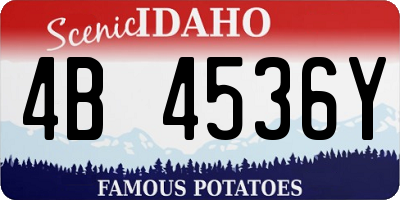 ID license plate 4B4536Y