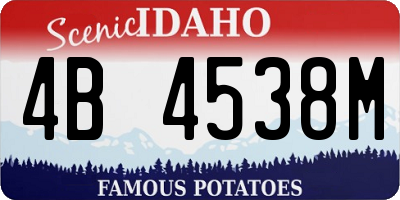 ID license plate 4B4538M
