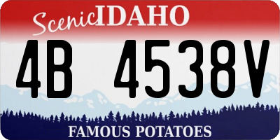ID license plate 4B4538V