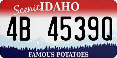 ID license plate 4B4539Q
