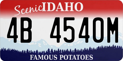 ID license plate 4B4540M