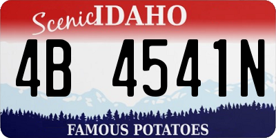 ID license plate 4B4541N
