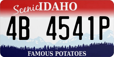 ID license plate 4B4541P