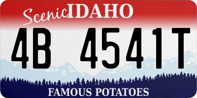 ID license plate 4B4541T