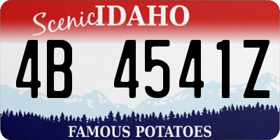 ID license plate 4B4541Z