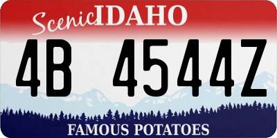 ID license plate 4B4544Z
