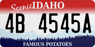 ID license plate 4B4545A
