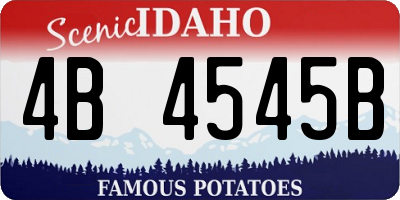 ID license plate 4B4545B
