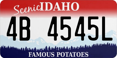 ID license plate 4B4545L
