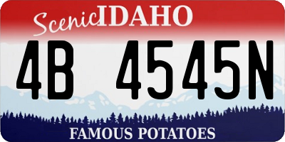 ID license plate 4B4545N