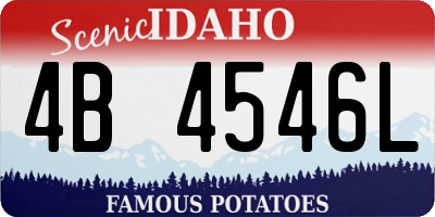 ID license plate 4B4546L