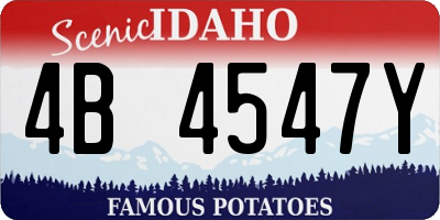 ID license plate 4B4547Y