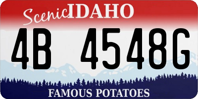 ID license plate 4B4548G