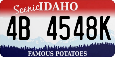 ID license plate 4B4548K