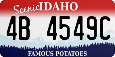 ID license plate 4B4549C