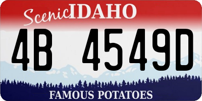 ID license plate 4B4549D