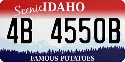 ID license plate 4B4550B