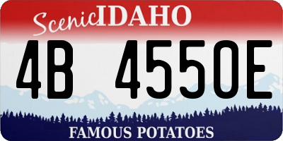 ID license plate 4B4550E