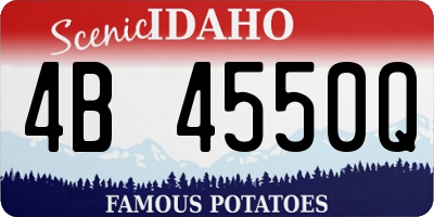 ID license plate 4B4550Q