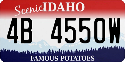 ID license plate 4B4550W