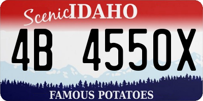 ID license plate 4B4550X