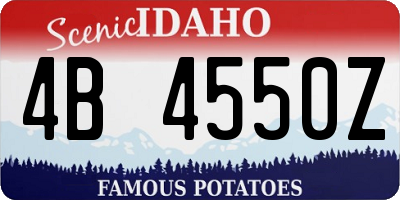 ID license plate 4B4550Z