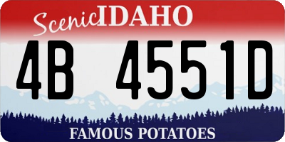 ID license plate 4B4551D