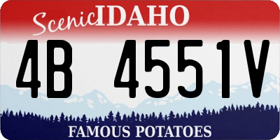 ID license plate 4B4551V