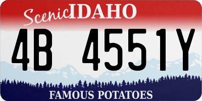ID license plate 4B4551Y