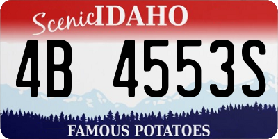 ID license plate 4B4553S
