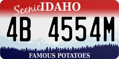 ID license plate 4B4554M