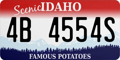 ID license plate 4B4554S