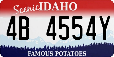ID license plate 4B4554Y