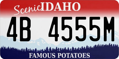 ID license plate 4B4555M