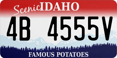 ID license plate 4B4555V