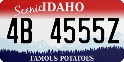 ID license plate 4B4555Z