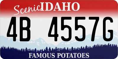 ID license plate 4B4557G