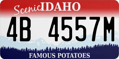 ID license plate 4B4557M