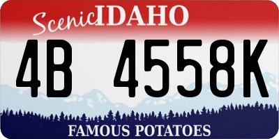 ID license plate 4B4558K