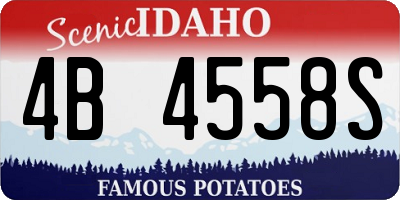 ID license plate 4B4558S