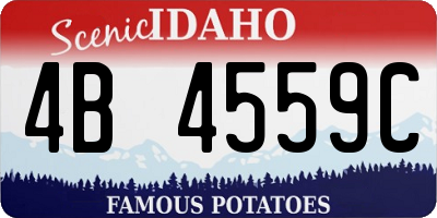 ID license plate 4B4559C