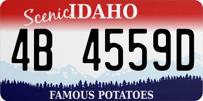 ID license plate 4B4559D