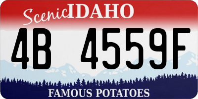 ID license plate 4B4559F