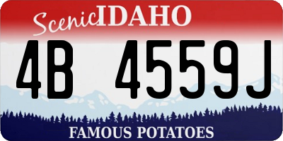 ID license plate 4B4559J