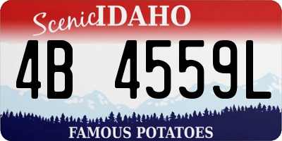 ID license plate 4B4559L