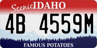 ID license plate 4B4559M