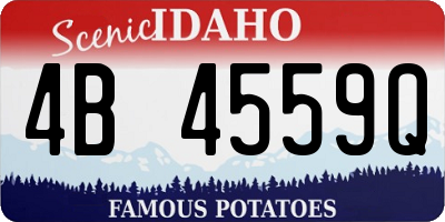 ID license plate 4B4559Q