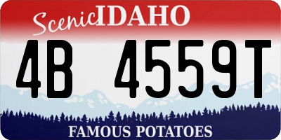 ID license plate 4B4559T