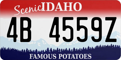 ID license plate 4B4559Z